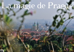 Prague_design_city_guide